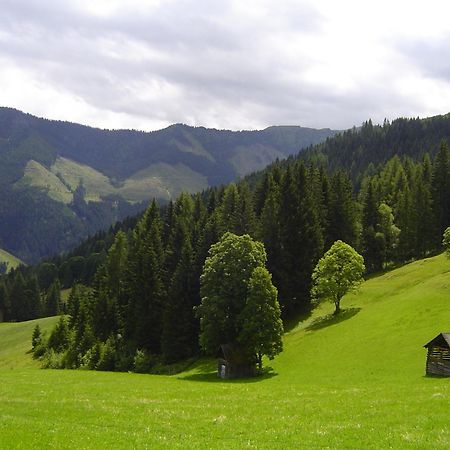 Villa Kirchenbichlerhof Pruggern Exterior foto